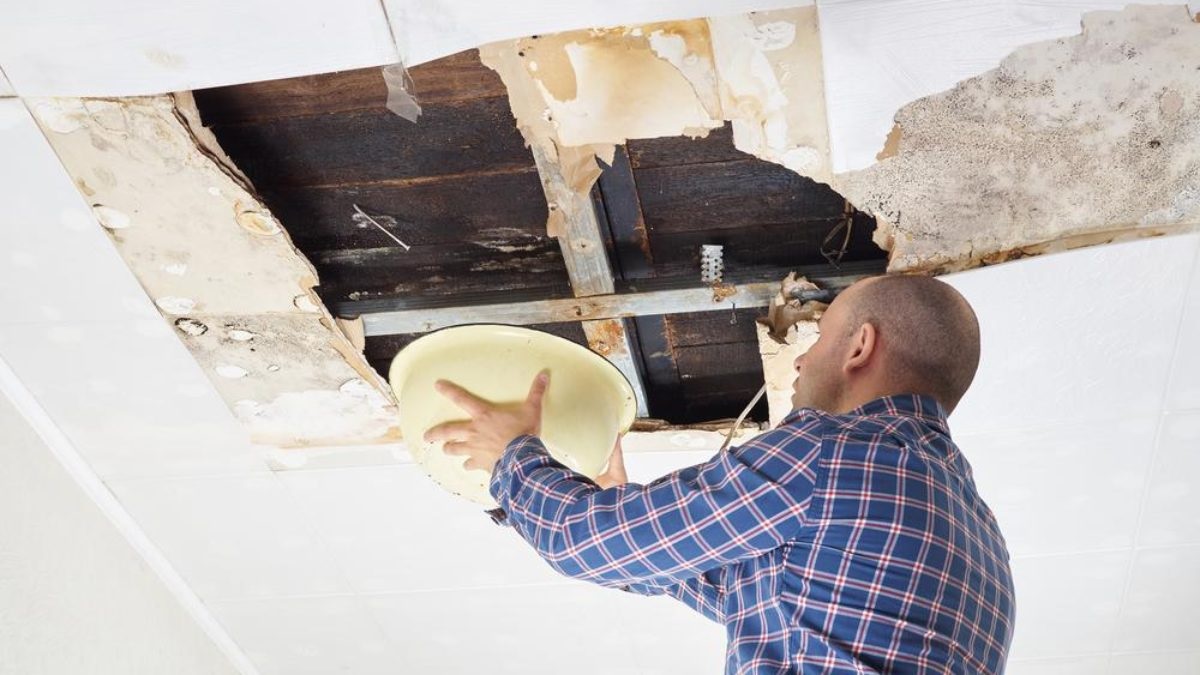 5 Things You Need to Know: The Perils of Roof Leak Mold